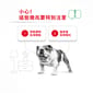 Royal Canin Royal Canin 法國皇家 狗濕糧 成犬消化道加護主食濕糧  85g 85g  背面圖