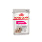 Royal Canin Royal Canin 法國皇家 狗濕糧 成犬挑嘴加護主食濕糧  85g 85g  正面圖