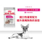 Royal Canin Royal Canin 法國皇家 狗濕糧 成犬挑嘴加護主食濕糧  85g 85g  正面圖