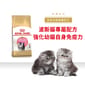 Royal Canin Royal Canin 貓糧 法國皇家貓糧 純種系列 波斯幼貓專屬配方 KPS32 2kg 2kg  正面圖