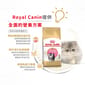 Royal Canin Royal Canin 貓糧 法國皇家貓糧 純種系列 波斯幼貓專屬配方 KPS32 2kg 2kg  背面圖