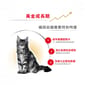 Royal Canin Royal Canin 貓糧 法國皇家貓糧 純種系列 緬因幼貓專屬配方 KMCO 10kg 10kg  背面圖