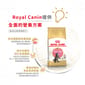 Royal Canin Royal Canin 貓糧 法國皇家貓糧 純種系列 緬因幼貓專屬配方 KMCO 10kg 10kg  側面圖