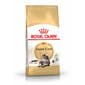 Royal Canin Royal Canin 貓糧 法國皇家貓糧 純種系列 緬因成貓專屬配方 10kg 10kg  正面圖