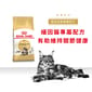 Royal Canin Royal Canin 貓糧 法國皇家貓糧 純種系列 緬因成貓專屬配方 10kg 10kg  正面圖