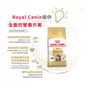 Royal Canin Royal Canin 貓糧 法國皇家貓糧 純種系列 緬因成貓專屬配方 10kg 10kg  側面圖