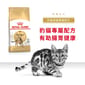 Royal Canin Royal Canin 貓糧 法國皇家貓糧 純種系列 豹貓成貓專屬配方 BEN40 2kg 2kg  正面圖
